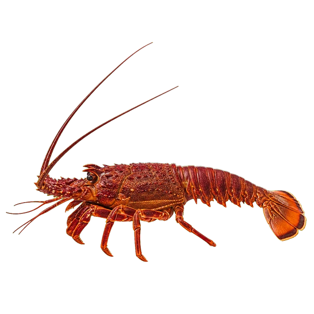 로비 전신 이미지